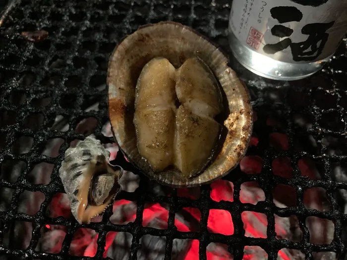 焼いたカサガイとイボニシガイ